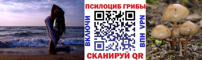 МЕГА ССЫЛКА  Михайлов  Галлюциногенные грибы Psilocybine cubensis 